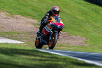 Oulton-Park-20th-March-2020;PJ-Motorsport-Photography-2020;anglesey;brands-hatch;cadwell-park;croft;donington-park;enduro-digital-images;event-digital-images;eventdigitalimages;mallory;no-limits;oulton-park;peter-wileman-photography;racing-digital-images;silverstone;snetterton;trackday-digital-images;trackday-photos;vmcc-banbury-run;welsh-2-day-enduro